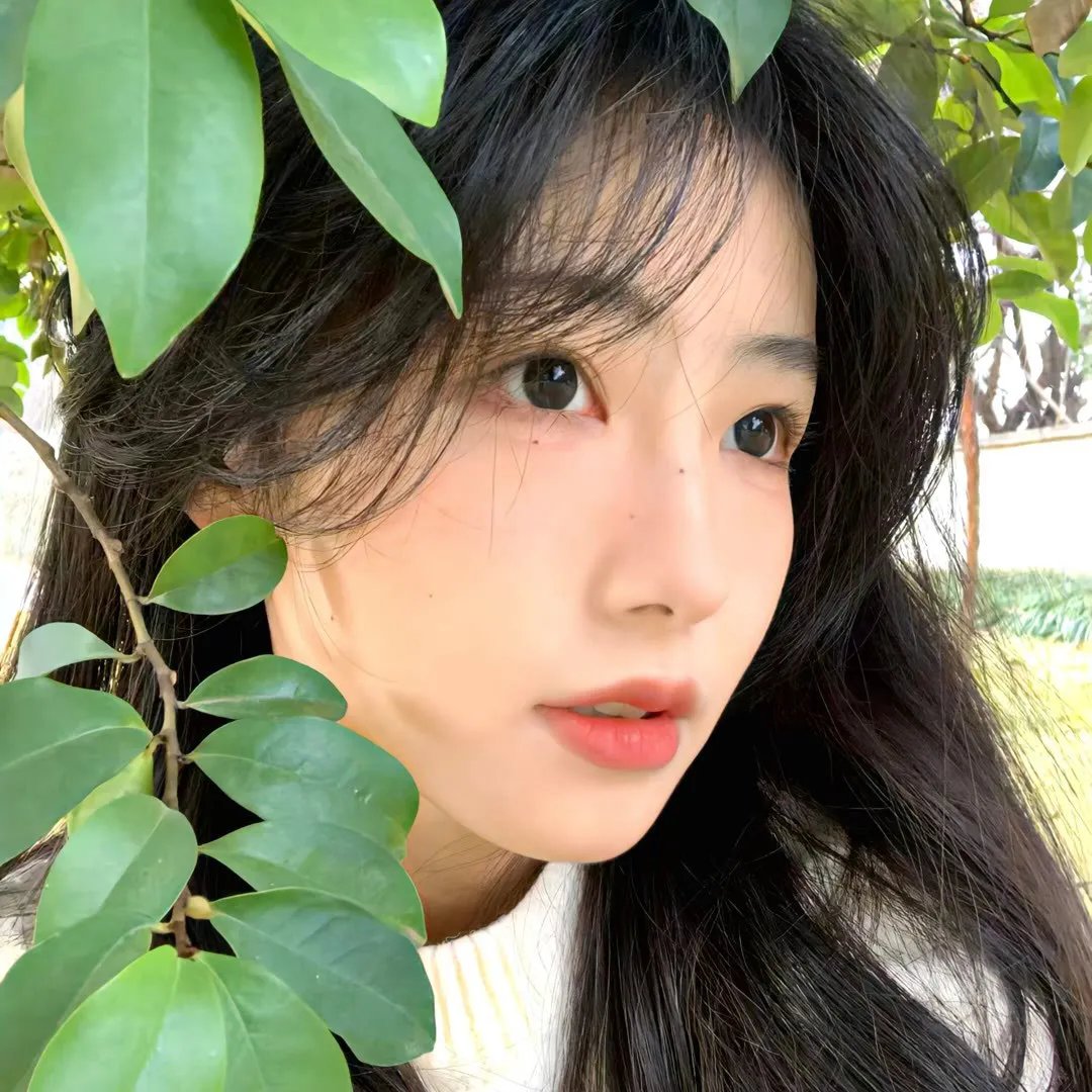 天命大主宰